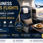 Business class flights- Affordable luxury and exclusive deals