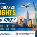 How to find the cheapest flights to New York?